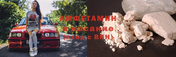 индика Лагань