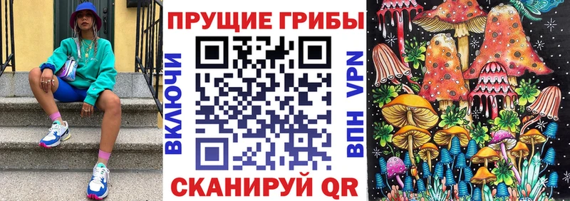 Псилоцибиновые грибы GOLDEN TEACHER  Нижнеудинск 