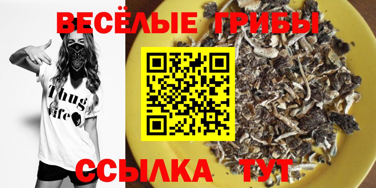 Псилоцибиновые грибы Psilocybine cubensis Нижнеудинск