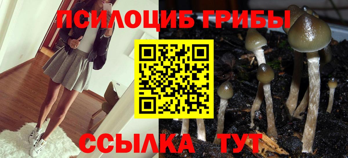 Нижнеудинск  Галлюциногенные грибы мухоморы  Вход с VPN 